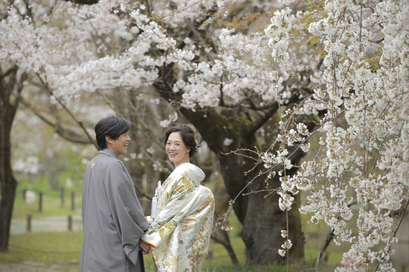 桜フォト、ご予約絶賛受付中です！
