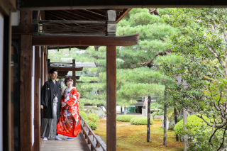 緑のいい時期に