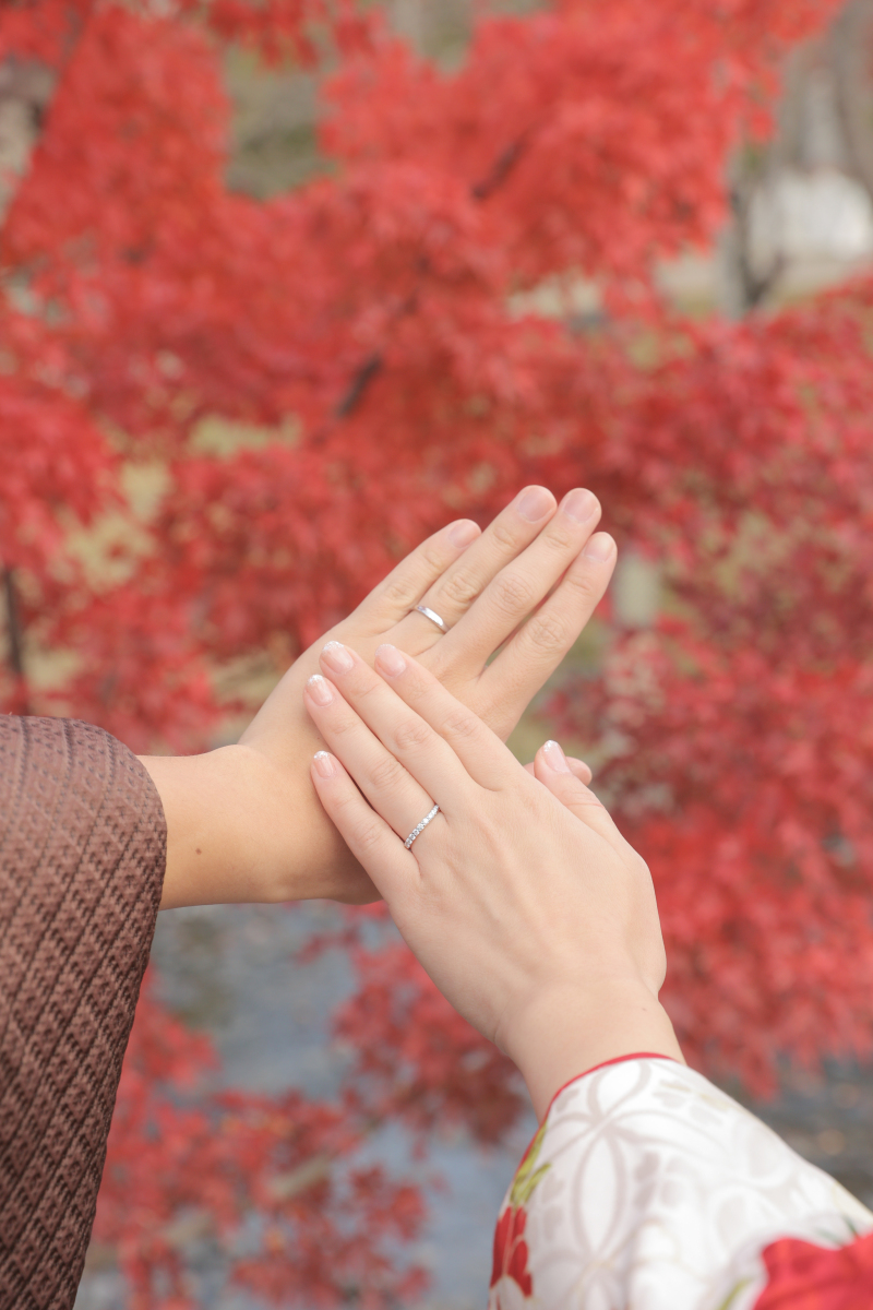 お手元のお写真