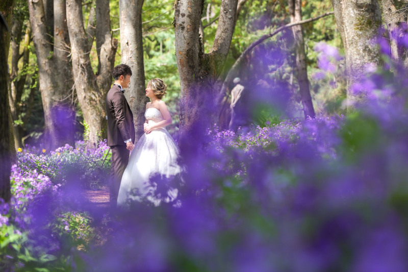 自然の中の婚礼写真