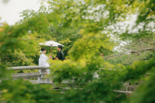 新緑の金戒光明寺