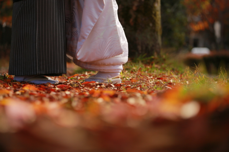 こんなショットも