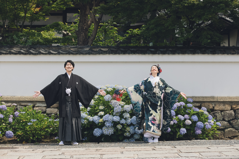 紫陽花の綺麗な金戒光明寺でした！