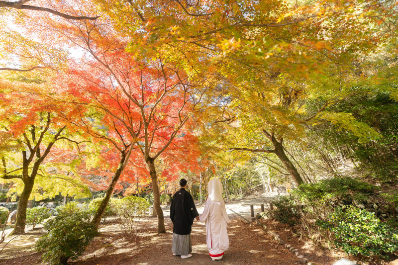 秋は紅色だけでなありません