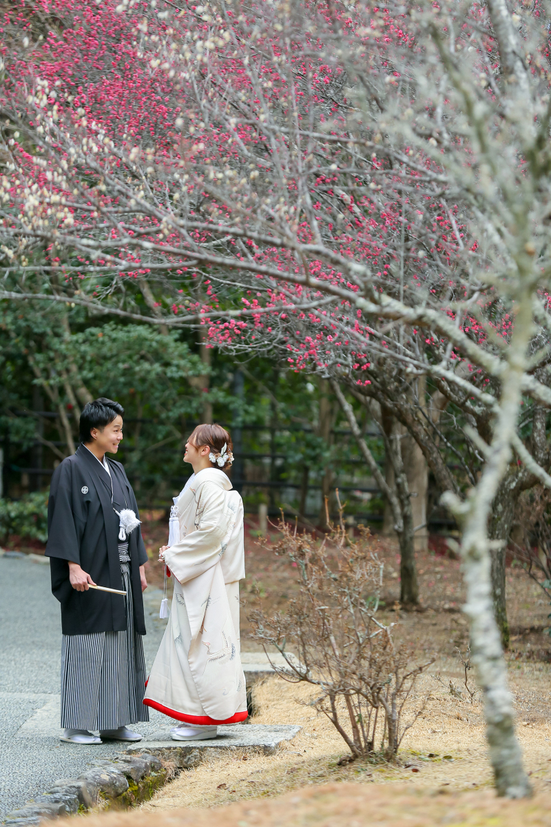 梅の花が綺麗でした。