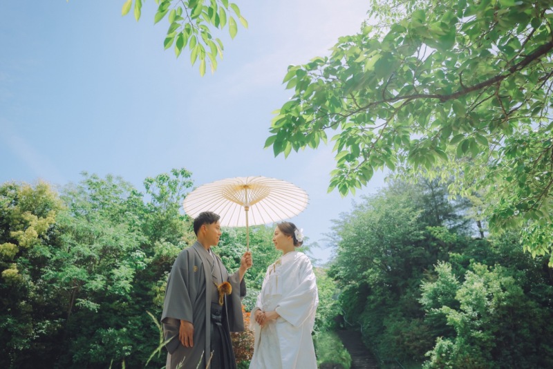 瑞々しい!八坂での新緑ロケーションフォト