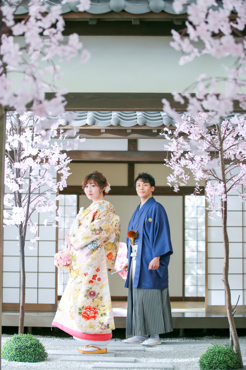 桜が満開のイメージで。