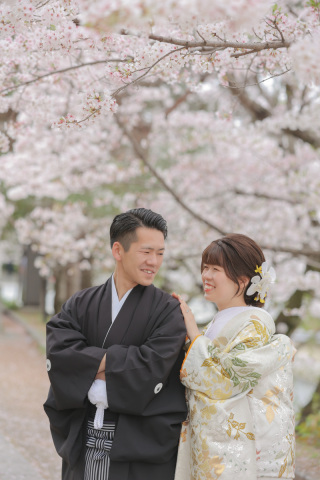 桜満開の八坂ロケーション