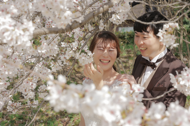 満開の桜に囲まれて