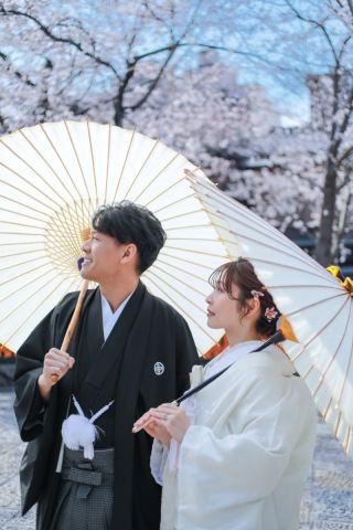 春の祇園で 白無垢と紋付で彩る桜と新緑