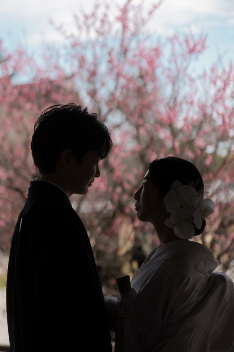 お二人の撮影時期はちょうど梅が美しい時期でした