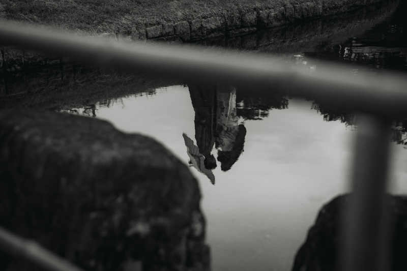 水面に映る、絵になるお二人