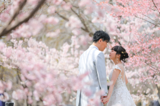 一足早く桜、ギリギリ間に合った梅の花&hellip;色々なお花の中でフォトウェディングです。