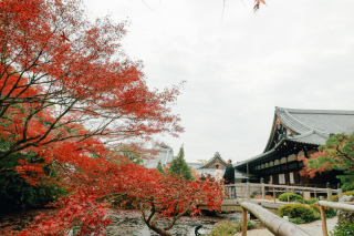 真っ赤な「金戒光明寺」で前撮り！！