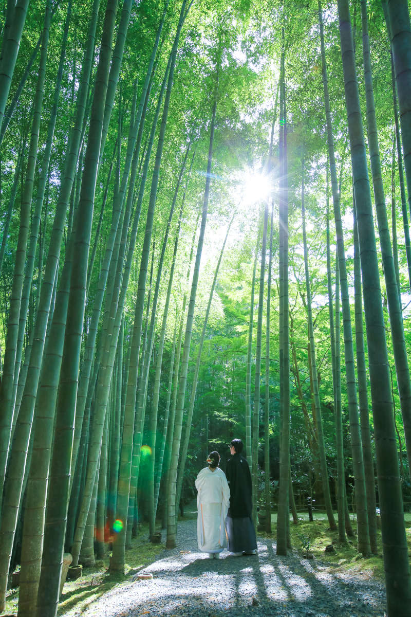 竹林撮影もできちゃう。。