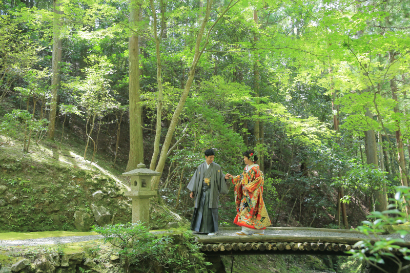 自然に囲まれ撮影