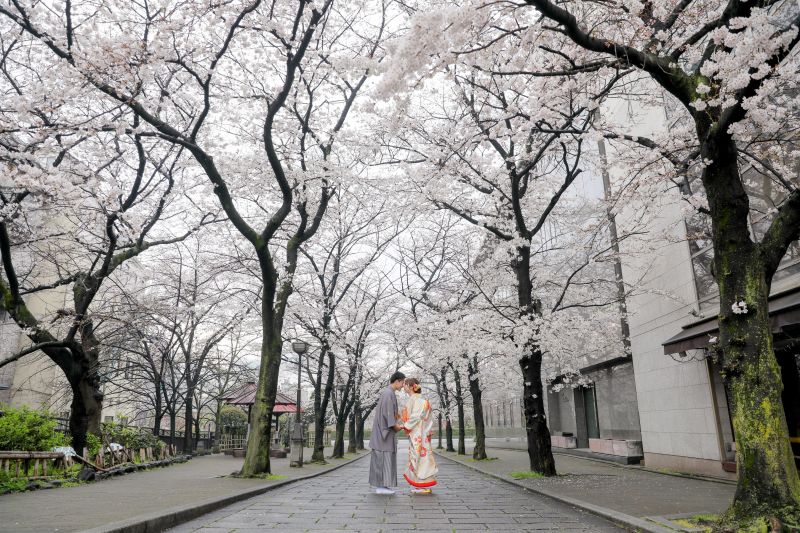 桜に囲まれて…