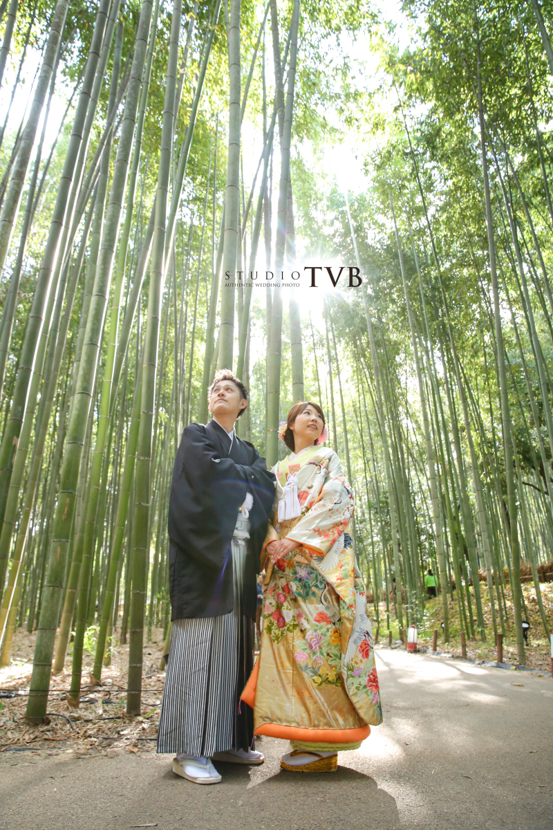 竹林の中で太陽の光に照らされて