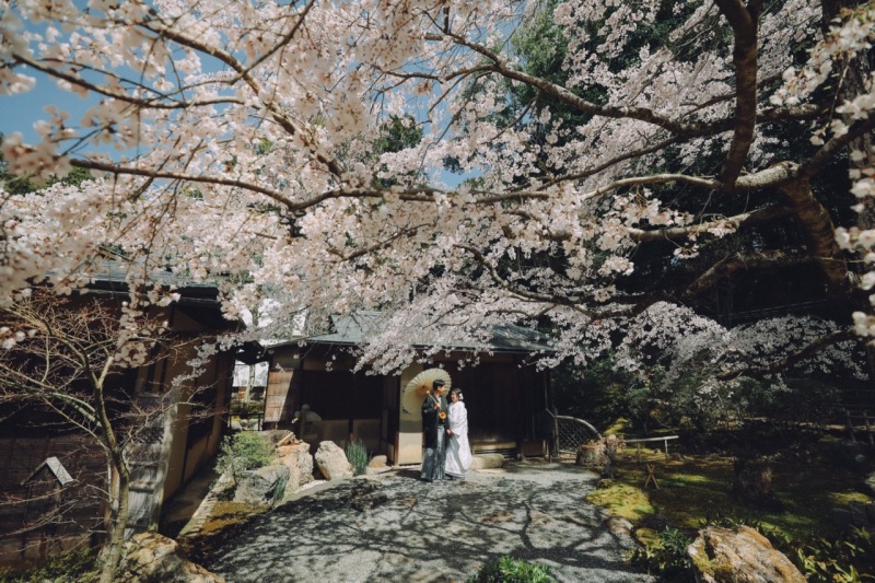 桜とお二人の遠近感を生かした迫力あるカット