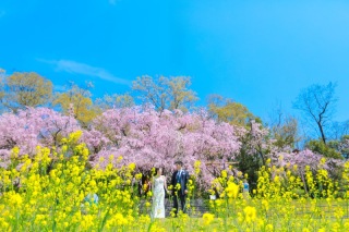 春風薫る鴨川で、新郎新婦様の至福のひととき