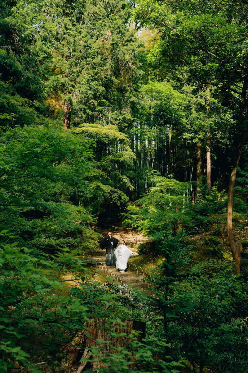 こちらは打って変わって美しい緑の中での撮影