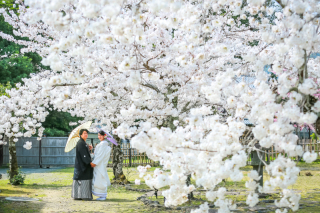 桜が満開でした!!