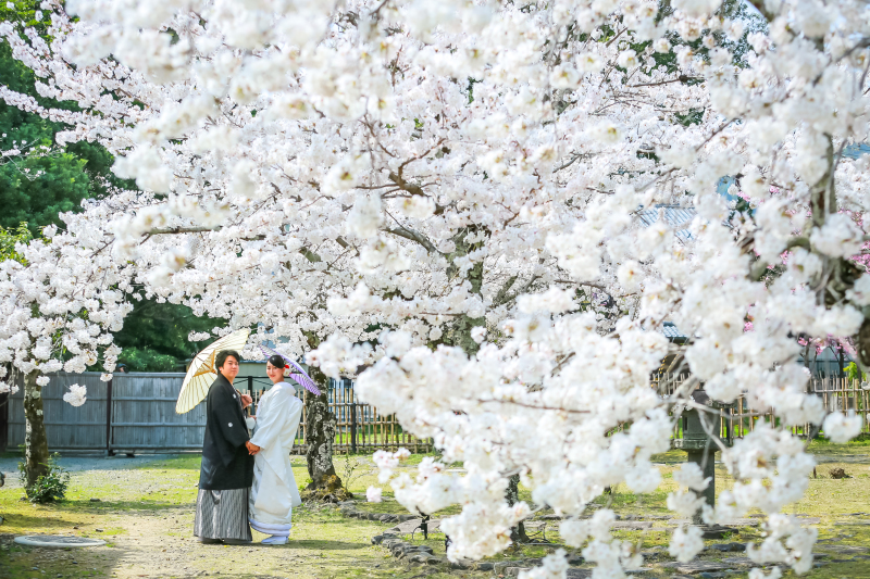 桜が満開でした!!
