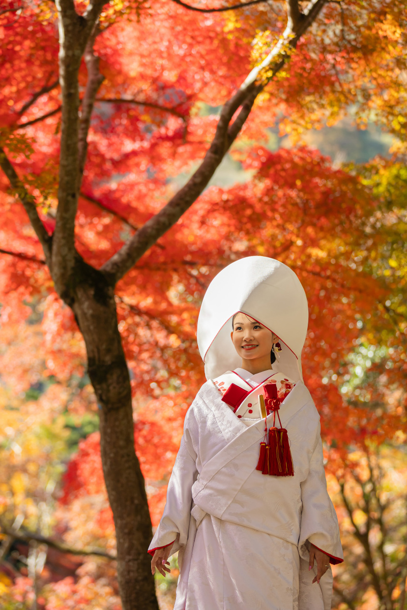 もちろん赤色の背景を前面に生かすことも