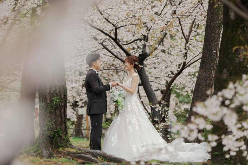 満開の桜のしたで