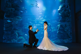 京都水族館を大満喫！