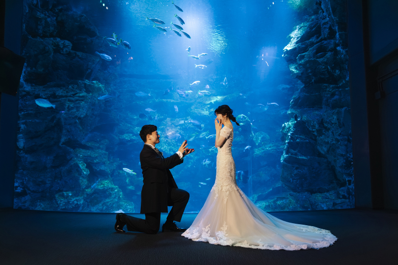 京都水族館を大満喫!