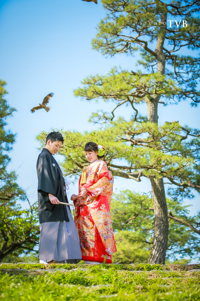 緑と青のコントラストも美しく。