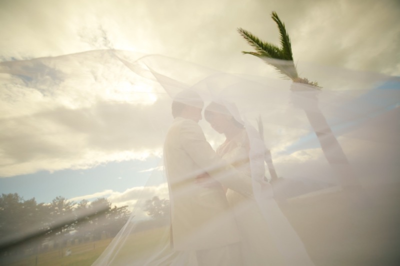 少し雰囲気が変わってロマンチックな１枚に