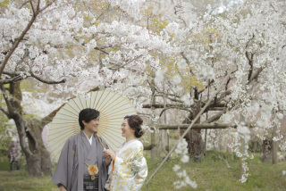 ご予約集中してます！春の京都PHOTO♪