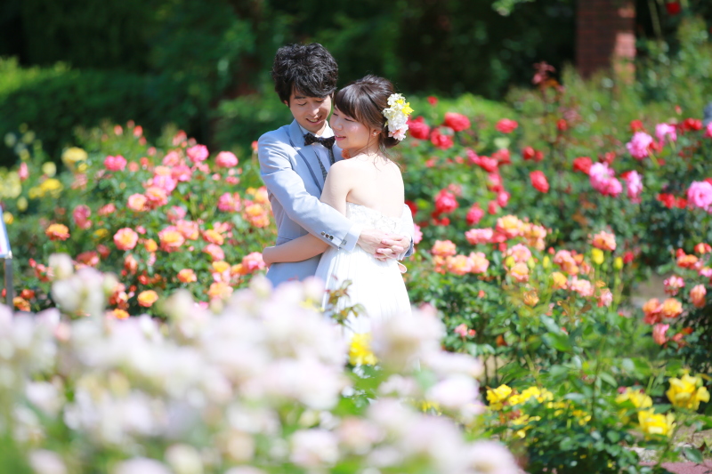 とにかく可愛い