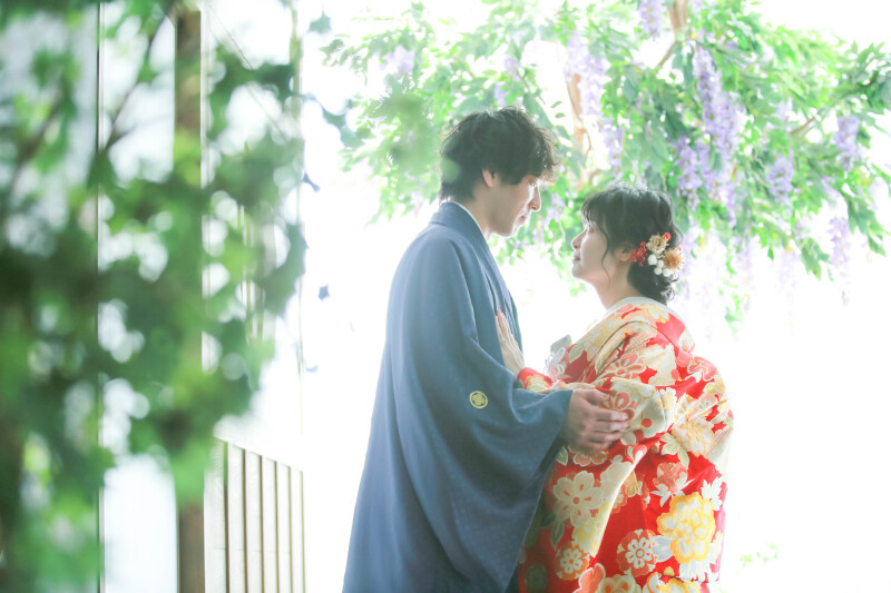 藤の花もとっても綺麗です。