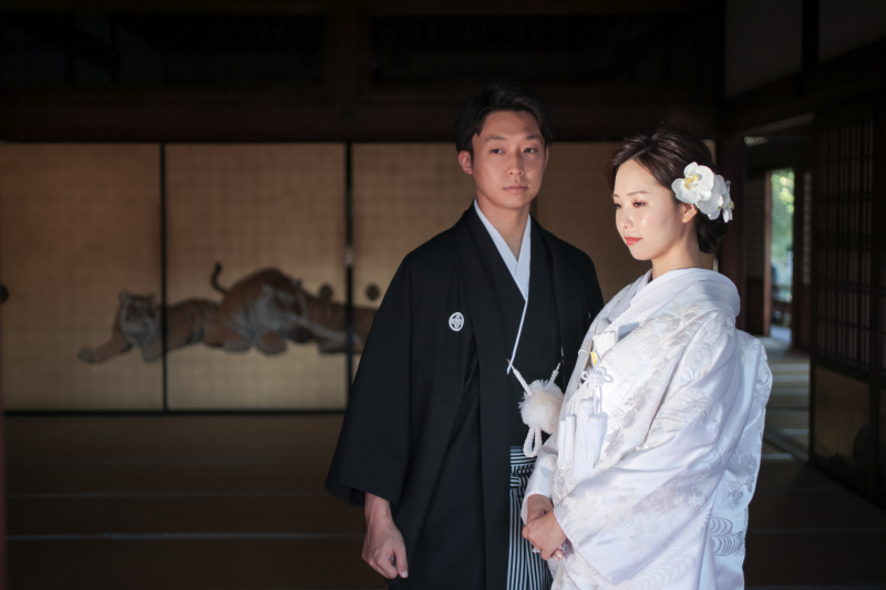 魔法のような光でした。