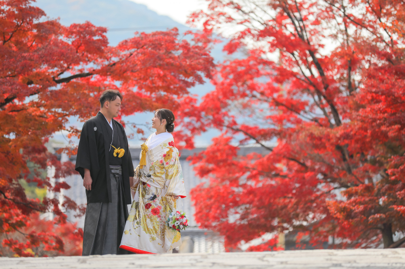 背景全面を紅葉に