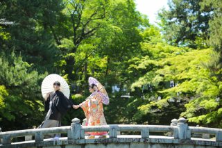 新緑の円山公園