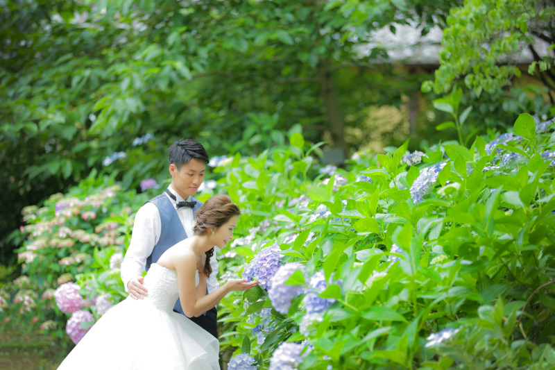 紫陽花発見！！