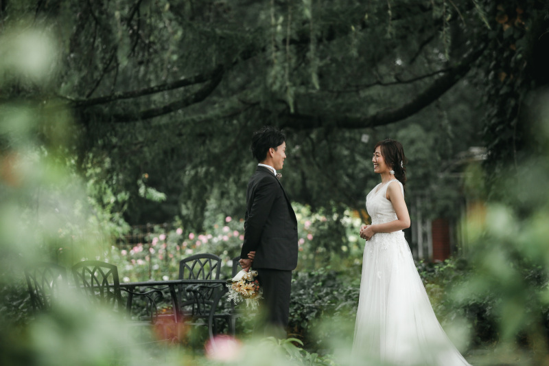 雨の日の植物園