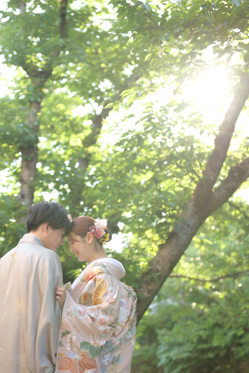 自然の様子も美しく。