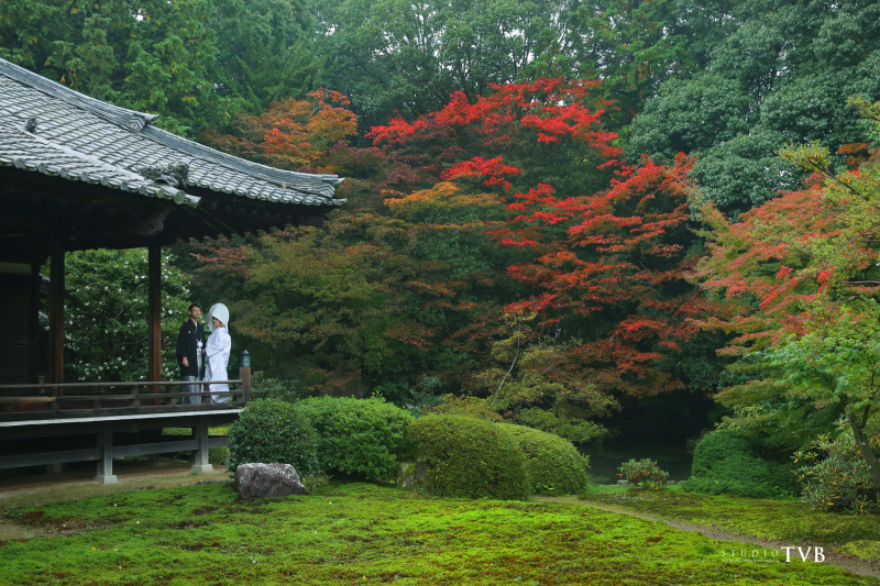 色付き始めた紅葉と