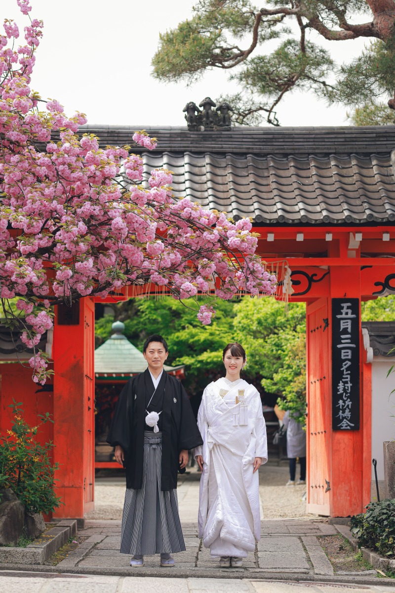 八重桜の下で…