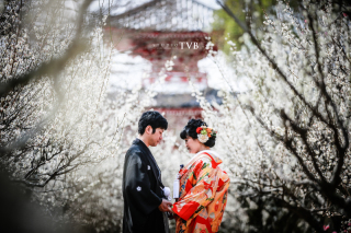 嵯峨大覚寺フォトプラン