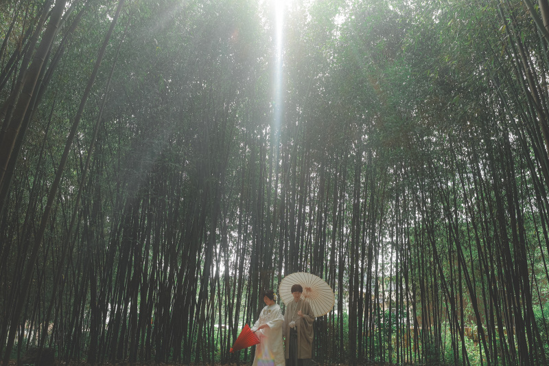 竹林に囲まれて・・・