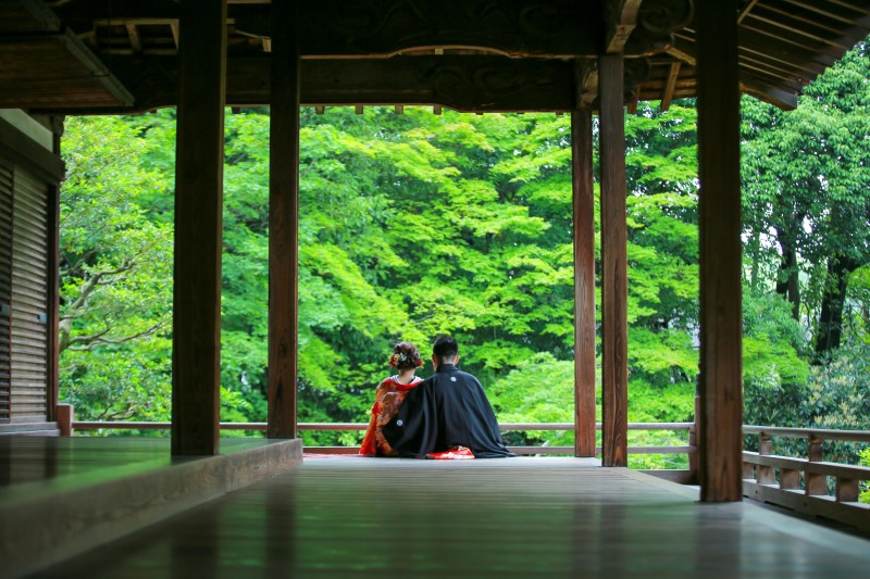 新緑を背景に…