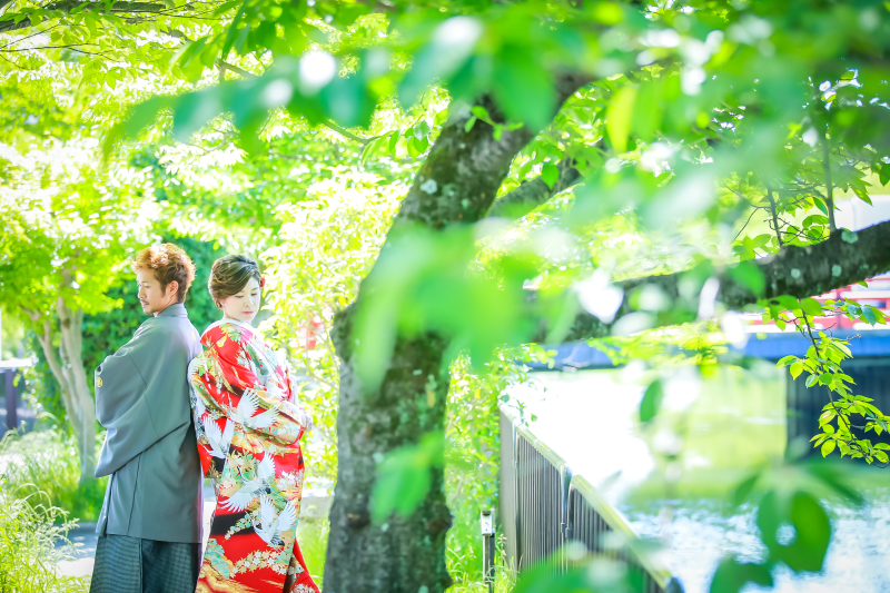 新緑がキラキラしてました！