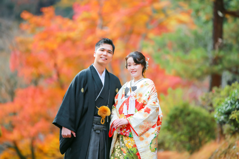 照紅葉にの美しい京都