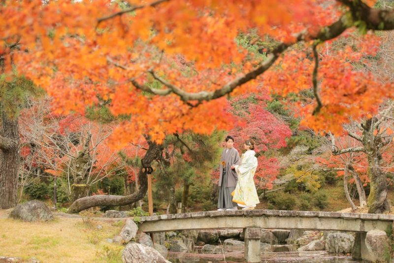 さて、自然の美しい円山公園に到着！